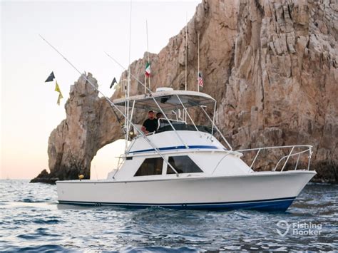 Wahoo 33' .